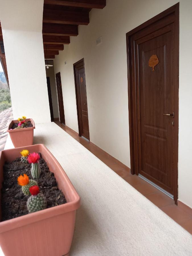 Agriturismo L'Ulivo パドゥーラ エクステリア 写真