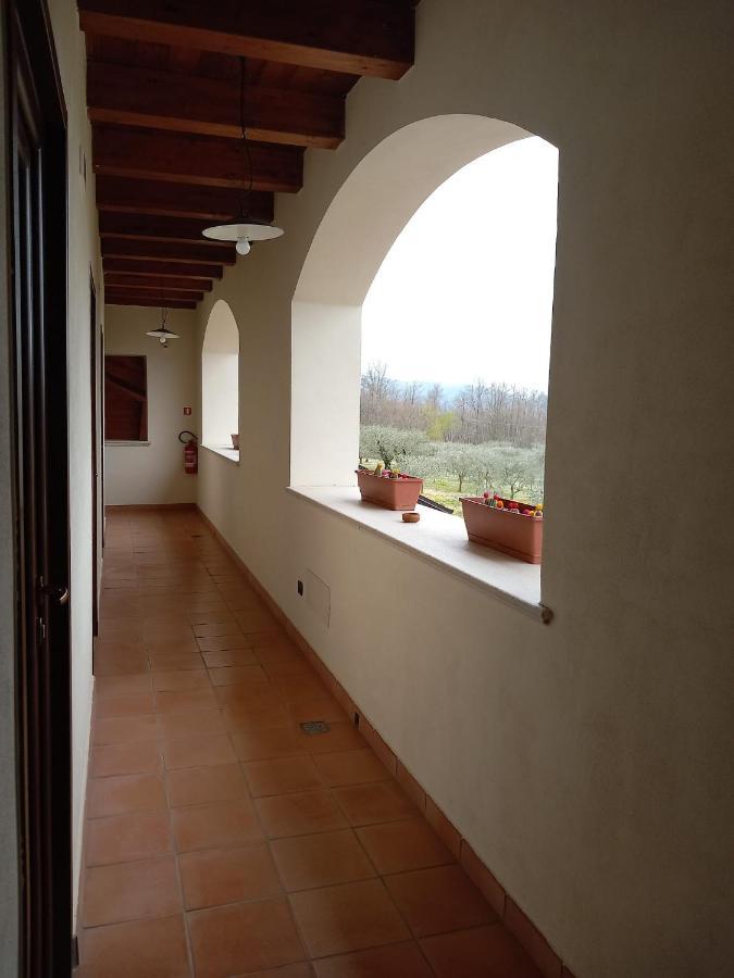 Agriturismo L'Ulivo パドゥーラ エクステリア 写真