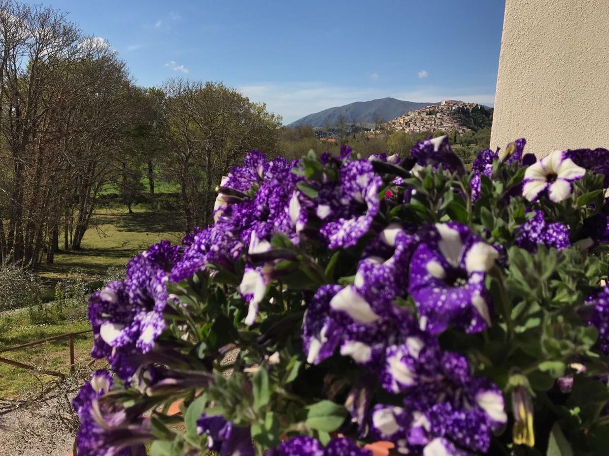 Agriturismo L'Ulivo パドゥーラ エクステリア 写真