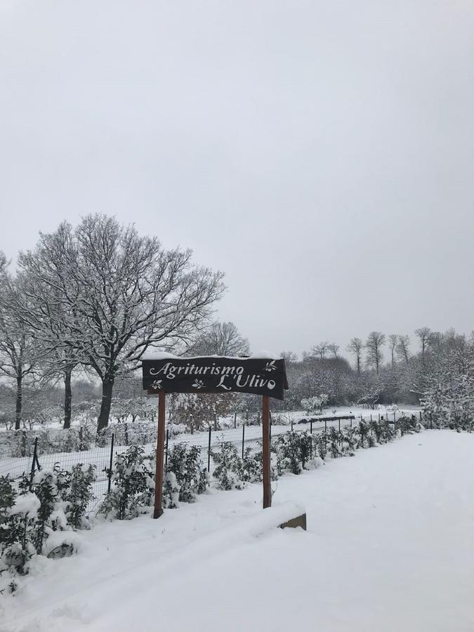 Agriturismo L'Ulivo パドゥーラ エクステリア 写真
