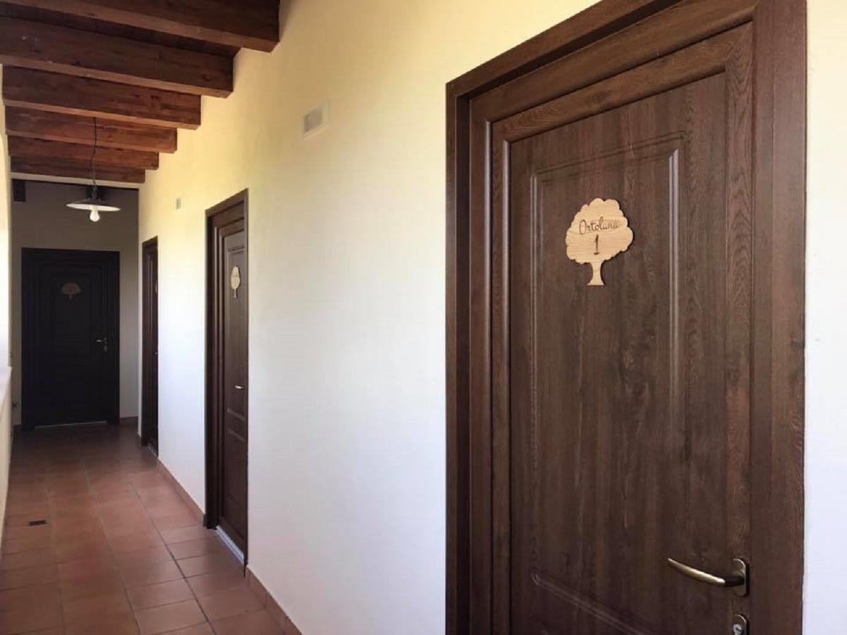 Agriturismo L'Ulivo パドゥーラ エクステリア 写真
